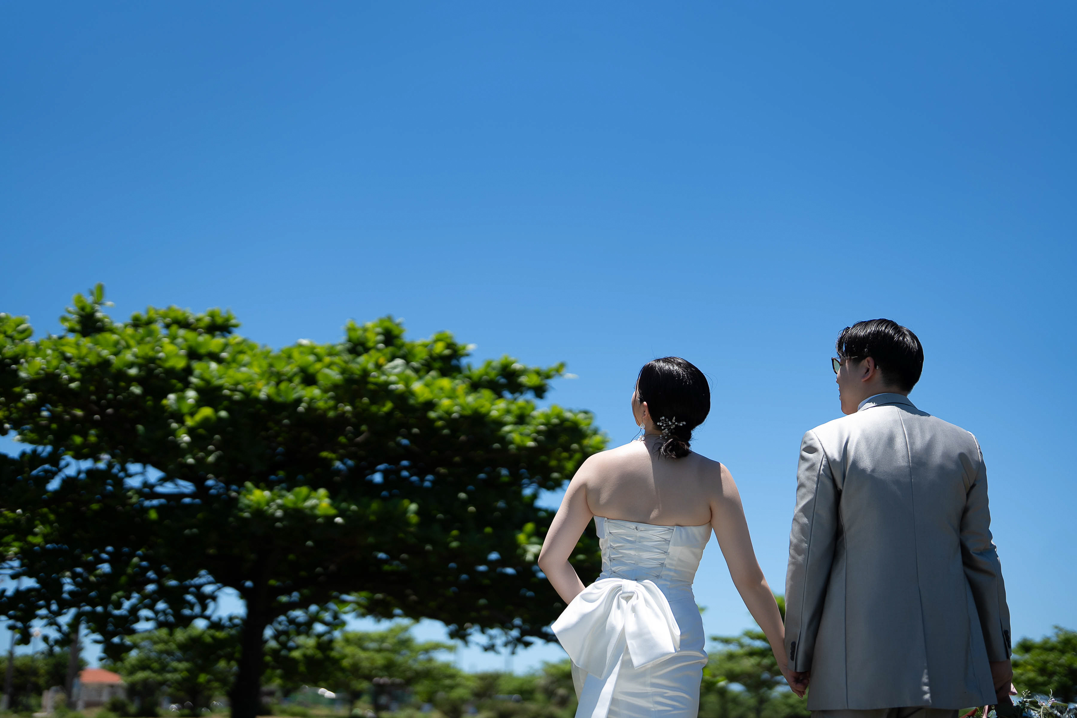 青空の下で手をつなぐ新郎新婦の後ろ姿